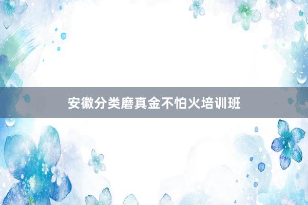 安徽分类磨真金不怕火培训班