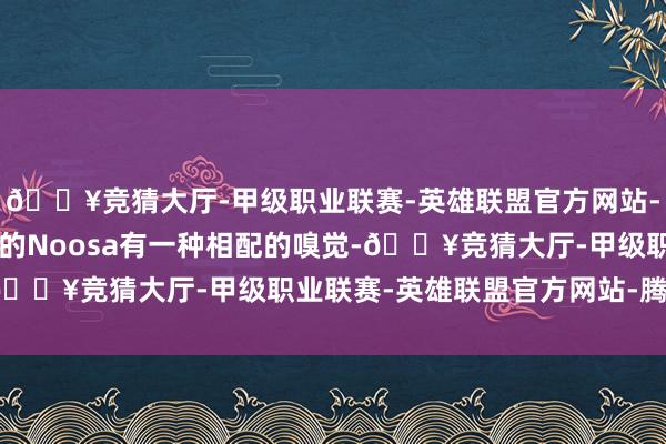 🔥竞猜大厅-甲级职业联赛-英雄联盟官方网站-腾讯游戏”“但在盛夏的Noosa有一种相配的嗅觉-🔥竞猜大厅-甲级职业联赛-英雄联盟官方网站-腾讯游戏