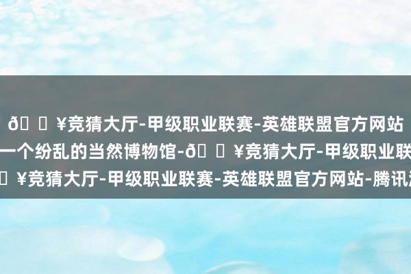 🔥竞猜大厅-甲级职业联赛-英雄联盟官方网站-腾讯游戏仿佛跻身于一个纷乱的当然博物馆-🔥竞猜大厅-甲级职业联赛-英雄联盟官方网站-腾讯游戏