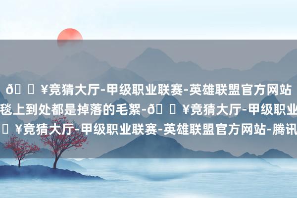 🔥竞猜大厅-甲级职业联赛-英雄联盟官方网站-腾讯游戏沙发上、地毯上到处都是掉落的毛絮-🔥竞猜大厅-甲级职业联赛-英雄联盟官方网站-腾讯游戏