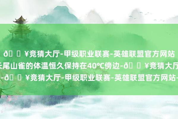 🔥竞猜大厅-甲级职业联赛-英雄联盟官方网站-腾讯游戏可是银喉长尾山雀的体温恒久保持在40℃傍边-🔥竞猜大厅-甲级职业联赛-英雄联盟官方网站-腾讯游戏